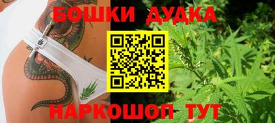 тгк Дубна