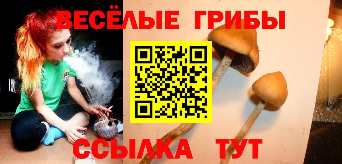 Псилоцибиновые грибы Psilocybine cubensis  что такое наркотик  Кызыл  Вход с VPN 
